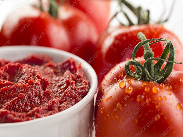 sell tined tomato past