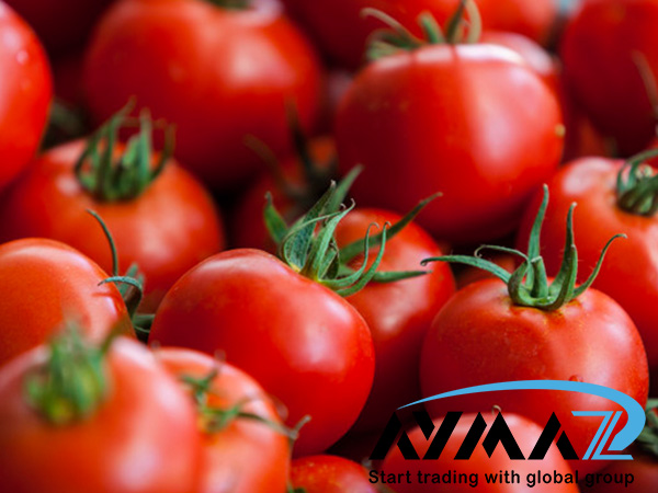 Bulk Tomato Paste | Best Wholesalers & Distributors