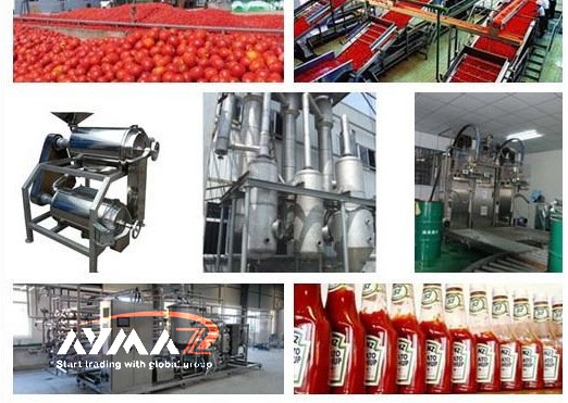 Wholesale distributor tomato paste