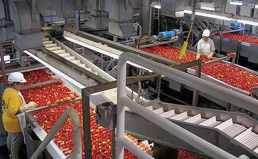 iran tomato paste production line  