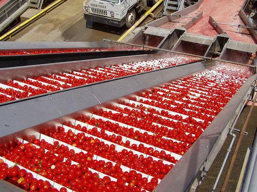 tomato paste wholesalers in IRan 