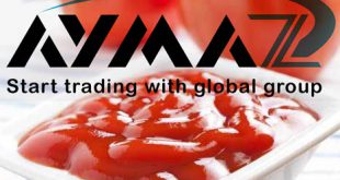 Best Tomato Paste Food Production