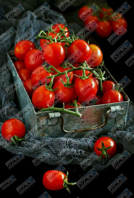 Tinned tomato paste supply