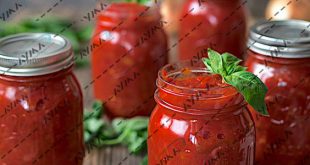 Wholesale Aseptic Tomato Paste