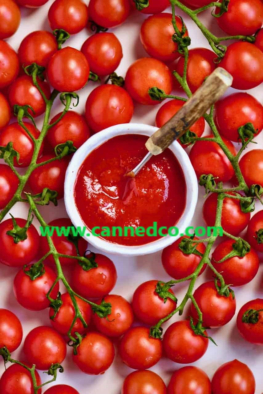 Top Supplier Industrial Tomato Paste