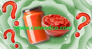 Top Supplier Industrial Tomato Paste