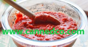 Best Price Iranian Tomato Paste