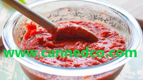 Canned & Aseptic Tomato Paste Manufacturer
