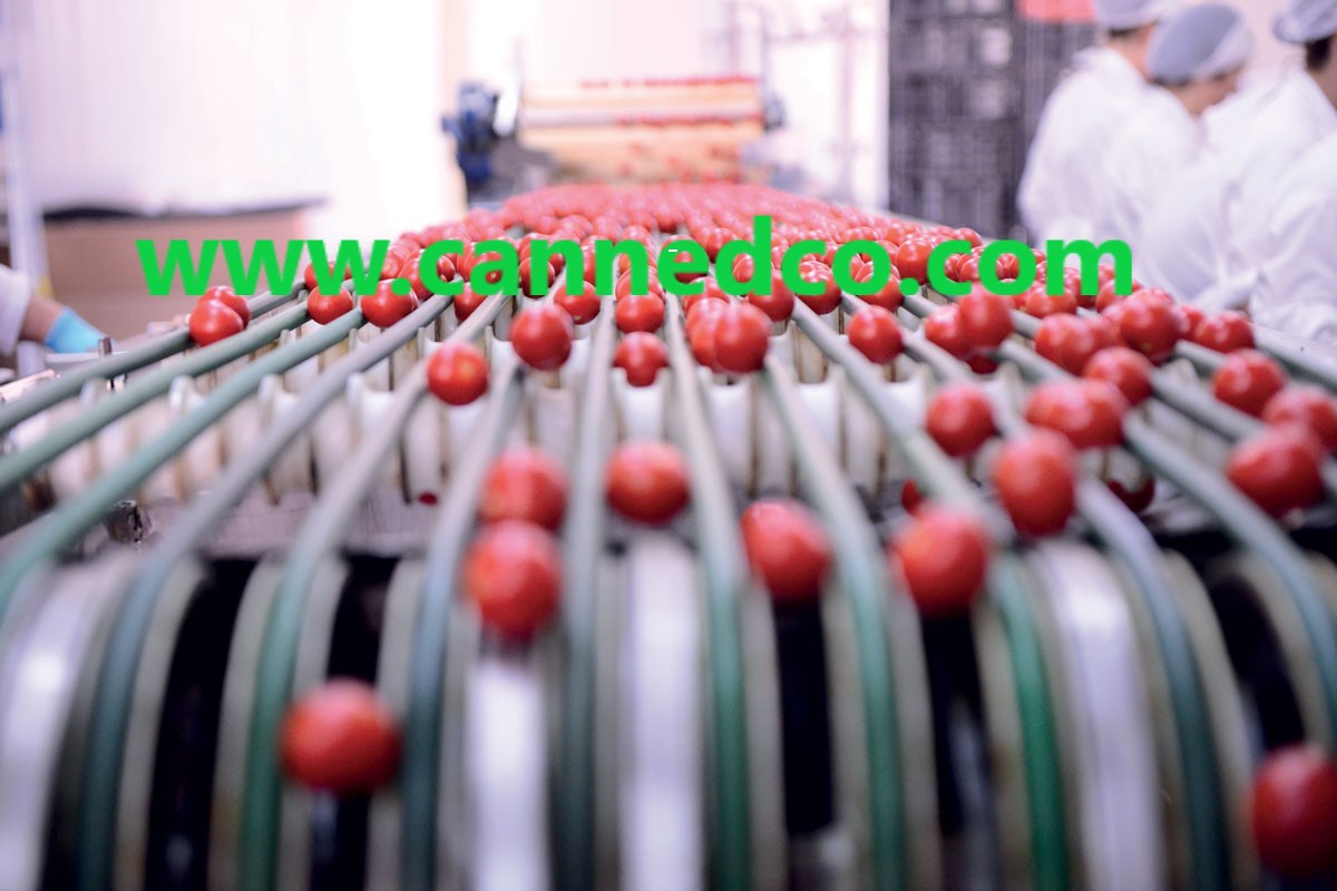 High-Quality Iranian Tomato Paste Importers