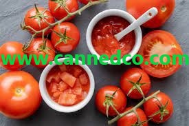 Wholesale Tomato Paste Iran