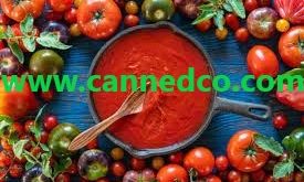 Iran Tomato Paste Supplier 2026