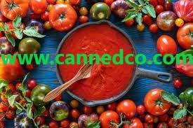Iran Tomato Paste Supplier 2026